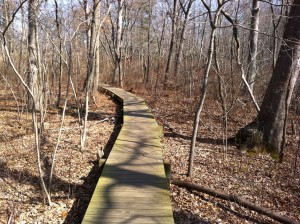 Start of the wooden walkway