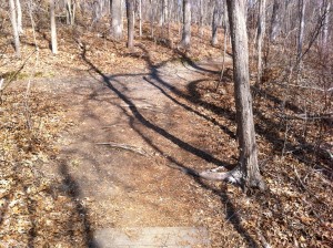 End of the wooden walkway