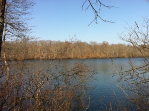 Northeast corner of Stump Pond