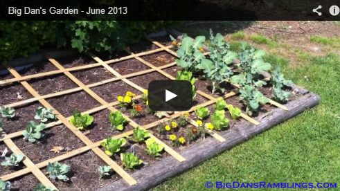 Big Dan’s Garden Review – June 2013